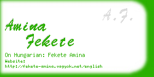 amina fekete business card